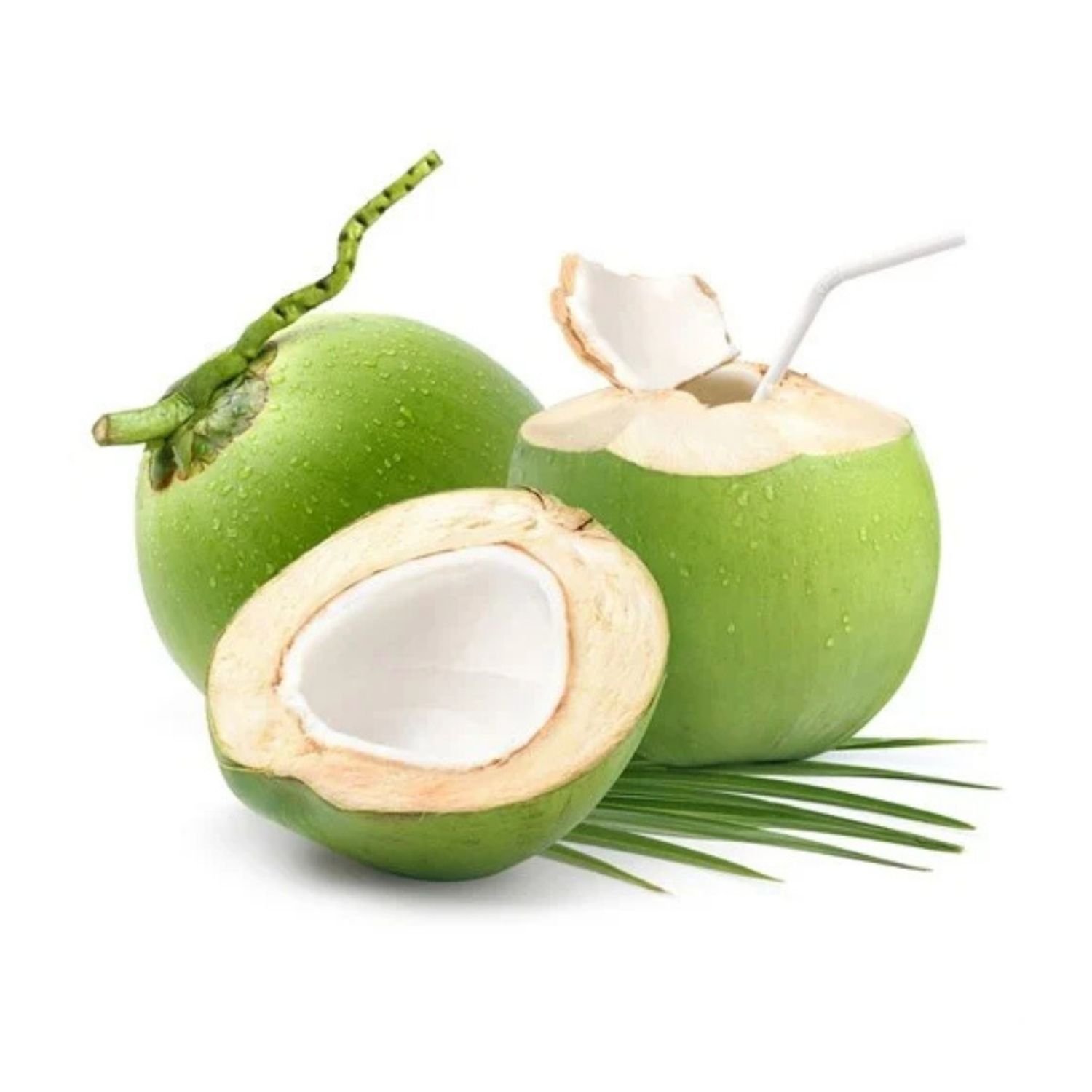 Verita Taze Hindistan Cevizi